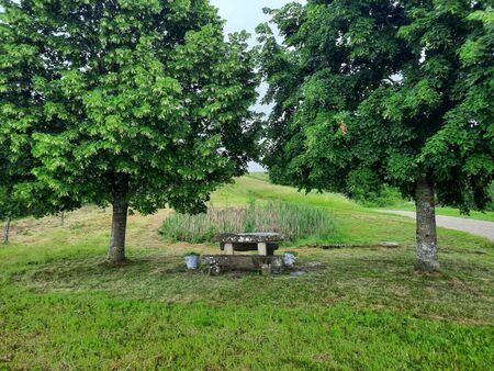 Delovna akcija na Ostrožnem Brdu  (5)-1200